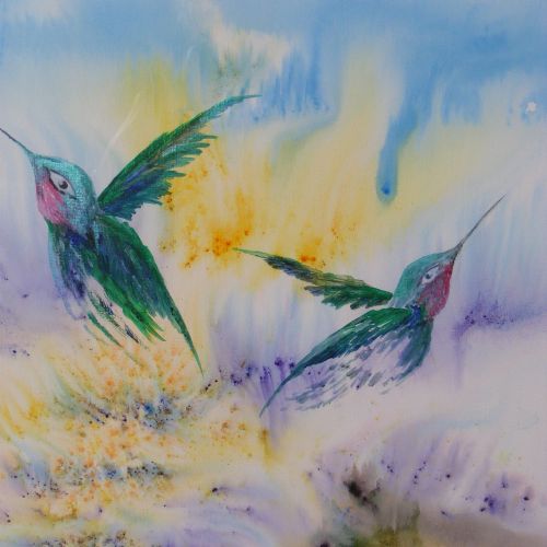 HummingBirds