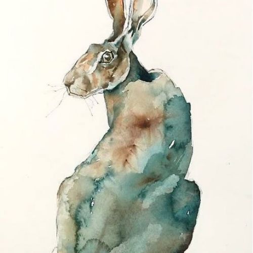 Hare